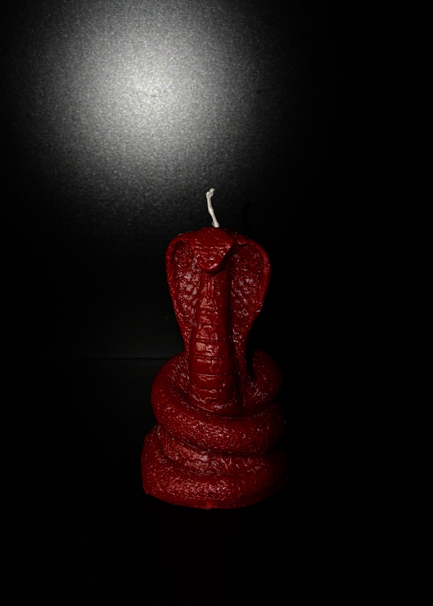 Snake Candle