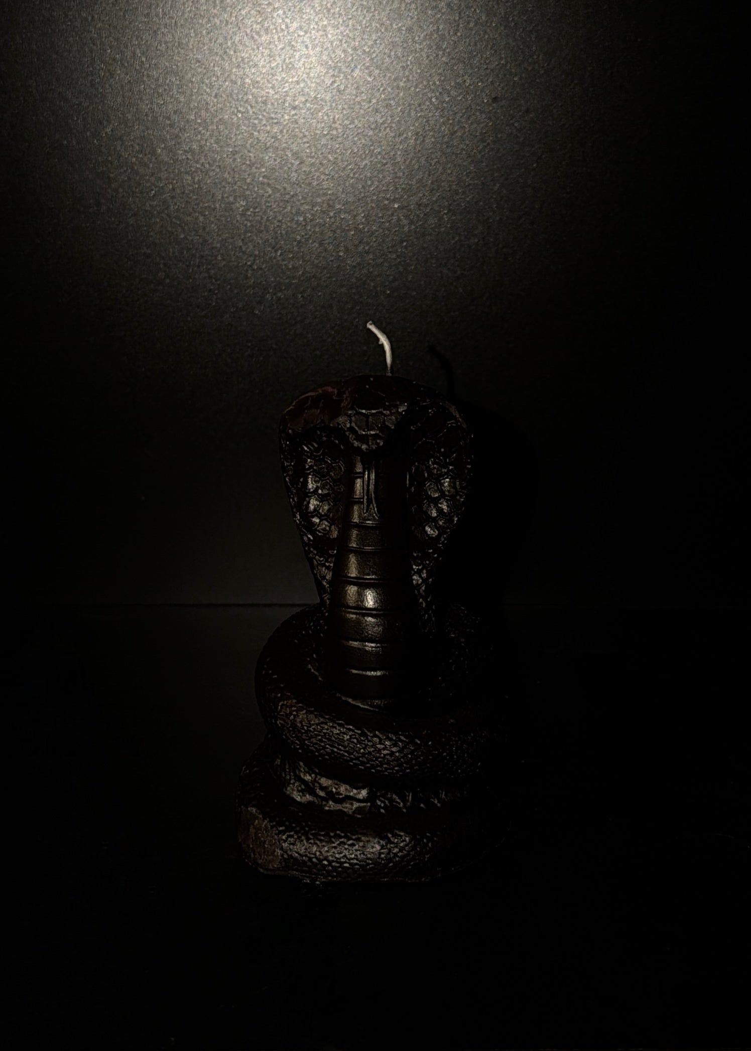 Snake Candle
