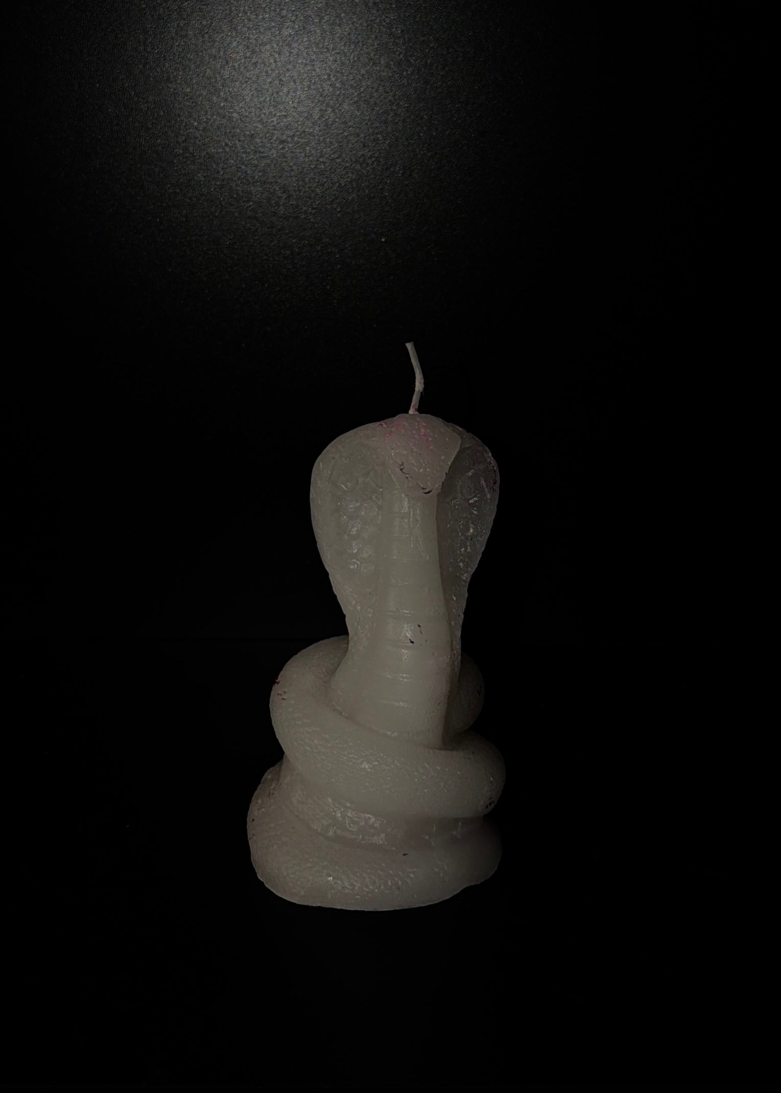 Snake Candle